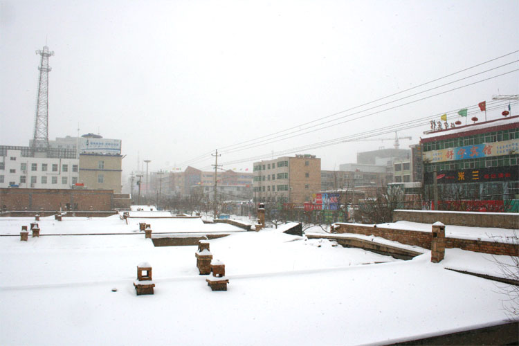 Snowy Guyuan