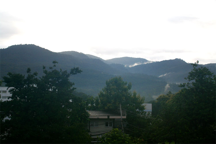 Hillside Mists