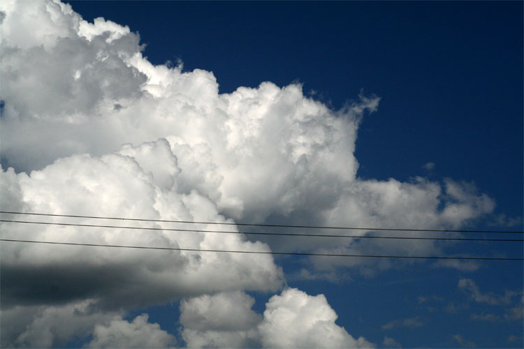 Power Lines
