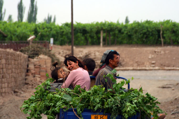 A Cart Full