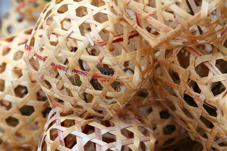 Baskets of Buzz, Part I